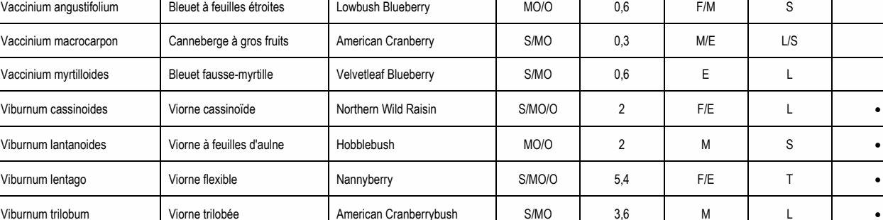 Viburnum cassinoides Viorne cassinoïde Northern Wild Raisin S/MO/O 2 F/E L • Viburnum lantanoides Viorne à feuilles d'aulne Hobblebush MO/O 2 M S • Viburnum lentago Viorne flexible Nannyberry S/MO/O 5,4 F/E T • Viburnum trilobum Viorne trilobée American Cranberrybush S/MO 3,6 M L • Vaccinium macrocarpon Canneberge à gros fruits American Cranberry S/MO 0,3 M/E L/S Vaccinium angustifolium Bleuet à feuilles étroites Lowbush Blueberry MO/O 0,6 F/M S Vaccinium myrtilloides Bleuet fausse-myrtille Velvetleaf Blueberry S/MO 0,6 E L