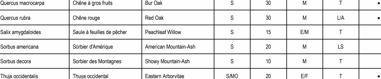 Quercus macrocarpa Chêne à gros fruits Bur Oak S 30 M T • Quercus rubra Chêne rouge Red Oak S 30 M L/A • Thuja occidentalis Thuya occidental Eastern Arborvitae S/MO 20 E/F T • Sorbus americana Sorbier d'Amérique American Mountain-Ash S 20 M LS Salix amygdaloides Saule à feuilles de pêcher Peachleaf Willow S 15 E/M T Sorbus decora Sorbier des Montagnes Showy Mountain-Ash S 10 M T