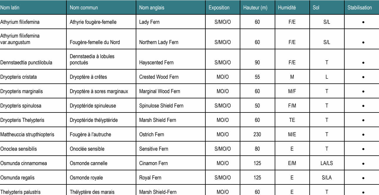 Athyrium filixfemina var.aungustum Fougère-femelle du Nord Northern Lady Fern S/MO/O 60 F/E S/L • Dennstaedia à lobules Dennstaedtia punctilobula ponctués Hayscented Fern S/MO/O 90 F/E T • Osmunda cinnamomea Osmonde cannelle Cinamon Fern MO/O 125 E/M LA/LS • Thelypteris palustris Thélyptère des marais Marsh Shield-Fern MO/O 60 E T • Nom latin Nom commun Nom anglais Exposition Hauteur (m) Humidité Sol Stabilisation Athyrium filixfemina Athyrie fougère-femelle Lady Fern S/MO/O 60 F/E S/L • Dryopteris cristata Dryoptère à crêtes Crested Wood Fern MO/O 55 M L • Dryopteris marginalis Dryoptère à sores marginaux Marginal Wood Fern MO/O 60 M/F T • Dryopteris spinulosa Dryoptéride spinuleuse Spinulose Shield Fern S/MO/O 50 F/M T • Dryopteris Thelypteris Dryoptéride thélyptéride Marsh Shield Fern MO/O 60 TE T • Mattheuccia strupthiopteris Fougère à l'autruche Ostrich Fern MO/O 230 M/E T • Onoclea sensibilis Onoclée sensible Sensitive Fern S/MO/O 80 E T • Osmunda regalis Osmonde royale Royal Fern S/MO/O 125 E S/LA •