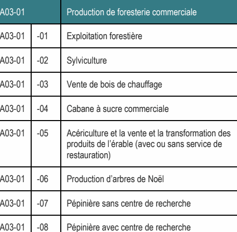 A03-01 -05 Acériculture et la vente et la transformation des produits de l’érable (avec ou sans service de restauration) A03-01 Production de foresterie commerciale A03-01 -07 Pépinière sans centre de recherche A03-01 -08 Pépinière avec centre de recherche A03-01 -04 Cabane à sucre commerciale A03-01 -06 Production d’arbres de Noël A03-01 -03 Vente de bois de chauffage A03-01 -01 Exploitation forestière A03-01 -02 Sylviculture