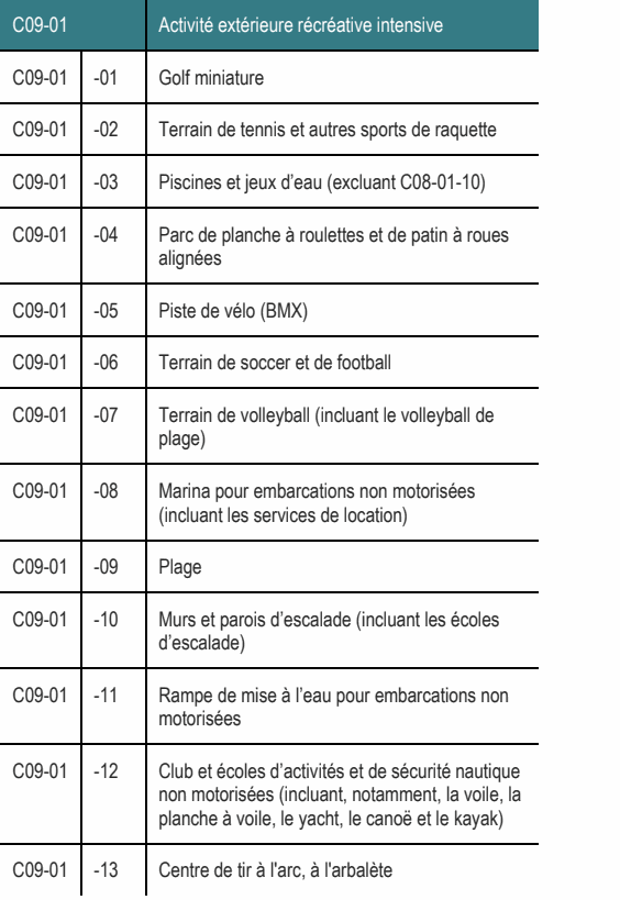 C09-01 -12 Club et écoles d’activités et de sécurité nautique non motorisées (incluant, notamment, la voile, la planche à voile, le yacht, le canoë et le kayak) C09-01 -04 Parc de planche à roulettes et de patin à roues alignées C09-01 -11 Rampe de mise à l’eau pour embarcations non motorisées C09-01 -10 Murs et parois d’escalade (incluant les écoles d’escalade) C09-01 -08 Marina pour embarcations non motorisées (incluant les services de location) C09-01 -07 Terrain de volleyball (incluant le volleyball de plage) C09-01 -02 Terrain de tennis et autres sports de raquette C09-01 -03 Piscines et jeux d’eau (excluant C08-01-10) C09-01 Activité extérieure récréative intensive C09-01 -06 Terrain de soccer et de football C09-01 -13 Centre de tir à l'arc, à l'arbalète C09-01 -05 Piste de vélo (BMX) C09-01 -01 Golf miniature C09-01 -09 Plage