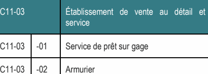 C11-03 Établissement de vente au détail et service C11-03 -01 Service de prêt sur gage C11-03 -02 Armurier