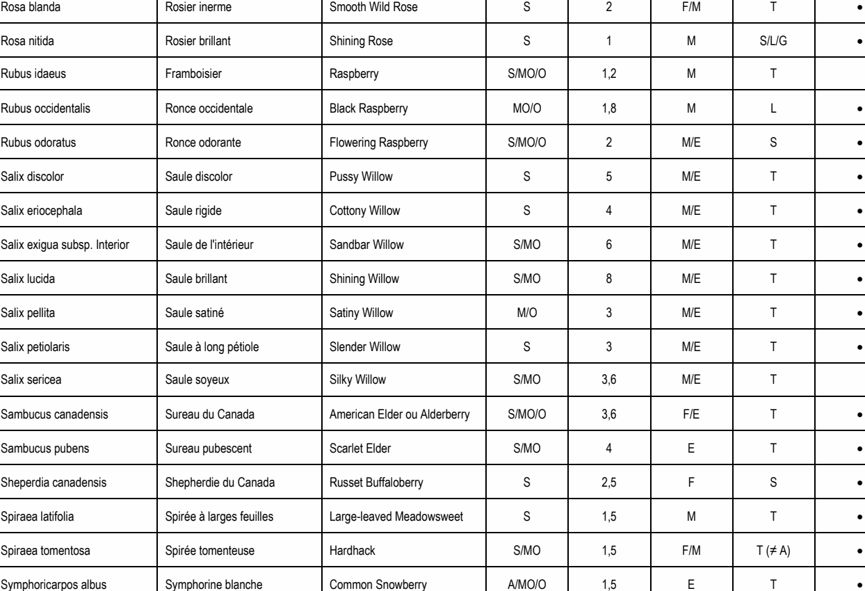 Rubus odoratus Ronce odorante Flowering Raspberry S/MO/O 2 M/E S • Rosa blanda Rosier inerme Smooth Wild Rose S 2 F/M T • Rosa nitida Rosier brillant Shining Rose S 1 M S/L/G • Rubus occidentalis Ronce occidentale Black Raspberry MO/O 1,8 M L • Salix discolor Saule discolor Pussy Willow S 5 M/E T • Salix eriocephala Saule rigide Cottony Willow S 4 M/E T • Salix exigua subsp. Interior Saule de l'intérieur Sandbar Willow S/MO 6 M/E T • Salix lucida Saule brillant Shining Willow S/MO 8 M/E T • Salix pellita Saule satiné Satiny Willow M/O 3 M/E T • Salix petiolaris Saule à long pétiole Slender Willow S 3 M/E T • Sambucus canadensis Sureau du Canada American Elder ou Alderberry S/MO/O 3,6 F/E T • Sambucus pubens Sureau pubescent Scarlet Elder S/MO 4 E T • Sheperdia canadensis Shepherdie du Canada Russet Buffaloberry S 2,5 F S • Spiraea latifolia Spirée à larges feuilles Large-leaved Meadowsweet S 1,5 M T • Spiraea tomentosa Spirée tomenteuse Hardhack S/MO 1,5 F/M T (≠ A) • Symphoricarpos albus Symphorine blanche Common Snowberry A/MO/O 1,5 E T • Rubus idaeus Framboisier Raspberry S/MO/O 1,2 M T Salix sericea Saule soyeux Silky Willow S/MO 3,6 M/E T