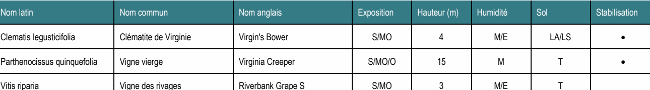 Nom latin Nom commun Nom anglais Exposition Hauteur (m) Humidité Sol Stabilisation Clematis legusticifolia Clématite de Virginie Virgin's Bower S/MO 4 M/E LA/LS • Parthenocissus quinquefolia Vigne vierge Virginia Creeper S/MO/O 15 M T • Vitis riparia Vigne des rivages Riverbank Grape S S/MO 3 M/E T