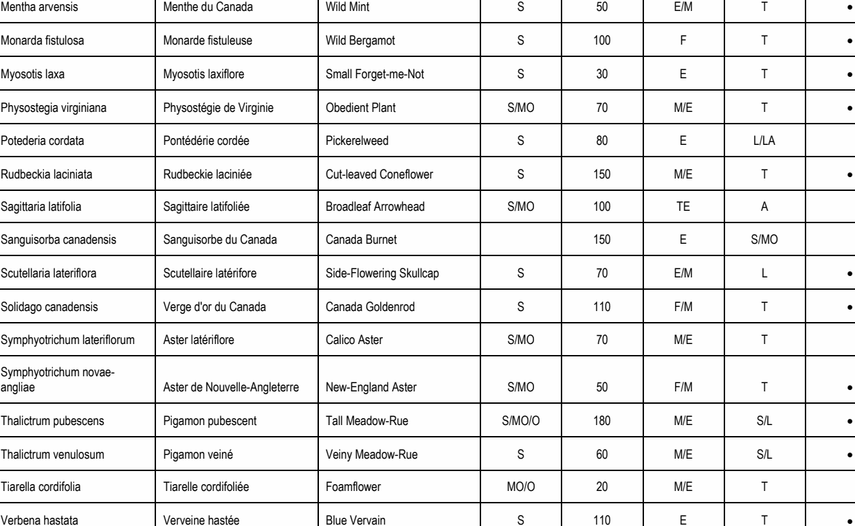 Symphyotrichum novae- angliae Aster de Nouvelle-Angleterre New-England Aster S/MO 50 F/M T • Potederia cordata Pontédérie cordée Pickerelweed S 80 E L/LA Mentha arvensis Menthe du Canada Wild Mint S 50 E/M T • Monarda fistulosa Monarde fistuleuse Wild Bergamot S 100 F T • Myosotis laxa Myosotis laxiflore Small Forget-me-Not S 30 E T • Physostegia virginiana Physostégie de Virginie Obedient Plant S/MO 70 M/E T • Rudbeckia laciniata Rudbeckie laciniée Cut-leaved Coneflower S 150 M/E T • Scutellaria lateriflora Scutellaire latérifore Side-Flowering Skullcap S 70 E/M L • Solidago canadensis Verge d'or du Canada Canada Goldenrod S 110 F/M T • Thalictrum pubescens Pigamon pubescent Tall Meadow-Rue S/MO/O 180 M/E S/L • Thalictrum venulosum Pigamon veiné Veiny Meadow-Rue S 60 M/E S/L • Verbena hastata Verveine hastée Blue Vervain S 110 E T • Sanguisorba canadensis Sanguisorbe du Canada Canada Burnet 150 E S/MO Sagittaria latifolia Sagittaire latifoliée Broadleaf Arrowhead S/MO 100 TE A Symphyotrichum lateriflorum Aster latériflore Calico Aster S/MO 70 M/E T Tiarella cordifolia Tiarelle cordifoliée Foamflower MO/O 20 M/E T