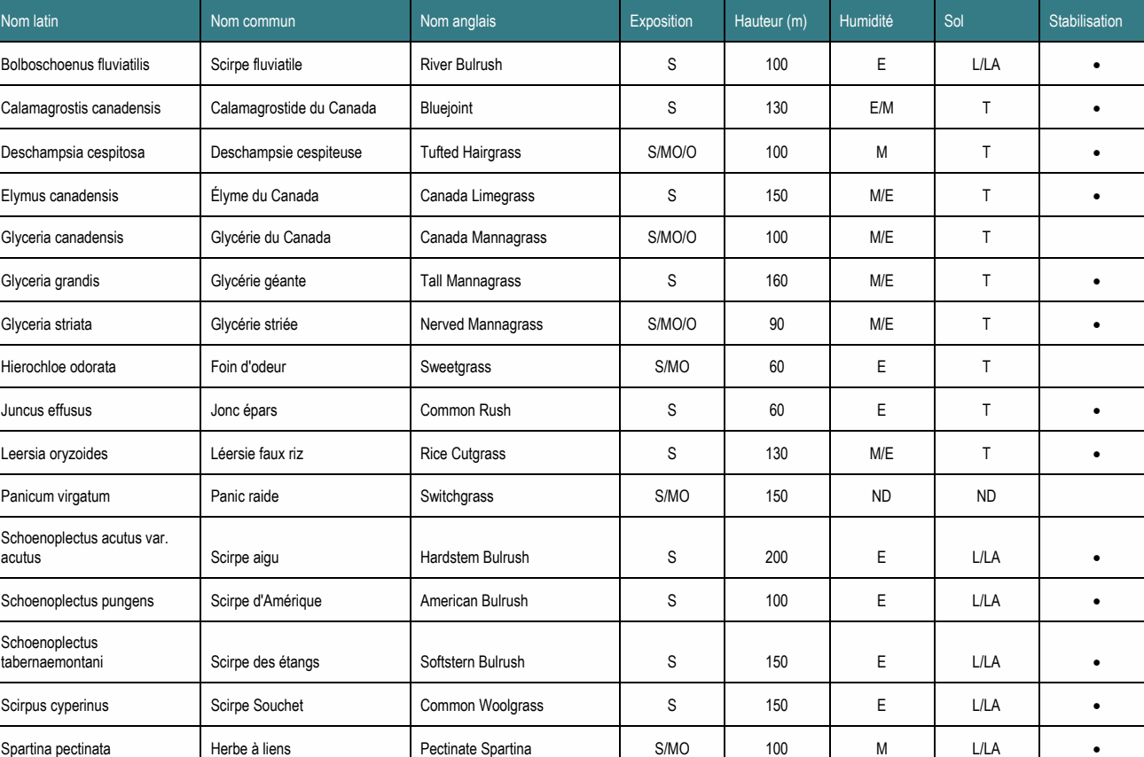 Schoenoplectus acutus var. acutus Scirpe aigu Hardstem Bulrush S 200 E L/LA • Schoenoplectus tabernaemontani Scirpe des étangs Softstern Bulrush S 150 E L/LA • Elymus canadensis Élyme du Canada Canada Limegrass S 150 M/E T • Scirpus cyperinus Scirpe Souchet Common Woolgrass S 150 E L/LA • Nom latin Nom commun Nom anglais Exposition Hauteur (m) Humidité Sol Stabilisation Bolboschoenus fluviatilis Scirpe fluviatile River Bulrush S 100 E L/LA • Calamagrostis canadensis Calamagrostide du Canada Bluejoint S 130 E/M T • Deschampsia cespitosa Deschampsie cespiteuse Tufted Hairgrass S/MO/O 100 M T • Glyceria grandis Glycérie géante Tall Mannagrass S 160 M/E T • Glyceria striata Glycérie striée Nerved Mannagrass S/MO/O 90 M/E T • Juncus effusus Jonc épars Common Rush S 60 E T • Leersia oryzoides Léersie faux riz Rice Cutgrass S 130 M/E T • Schoenoplectus pungens Scirpe d'Amérique American Bulrush S 100 E L/LA • Spartina pectinata Herbe à liens Pectinate Spartina S/MO 100 M L/LA • Panicum virgatum Panic raide Switchgrass S/MO 150 ND ND Glyceria canadensis Glycérie du Canada Canada Mannagrass S/MO/O 100 M/E T Hierochloe odorata Foin d'odeur Sweetgrass S/MO 60 E T